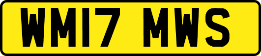 WM17MWS