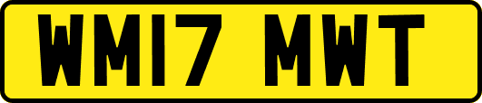 WM17MWT
