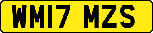 WM17MZS