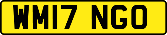WM17NGO