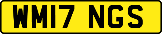 WM17NGS
