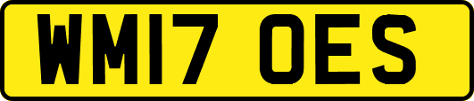 WM17OES