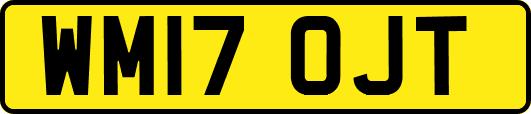 WM17OJT