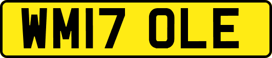 WM17OLE