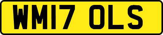 WM17OLS