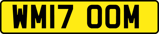 WM17OOM