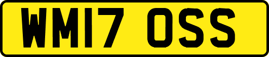 WM17OSS