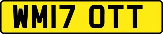 WM17OTT