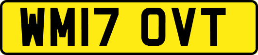 WM17OVT