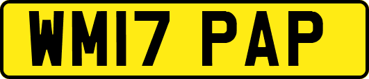 WM17PAP