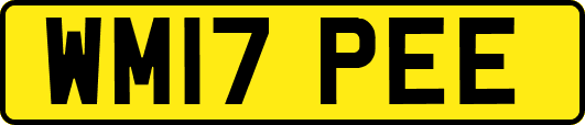 WM17PEE