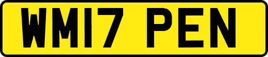 WM17PEN