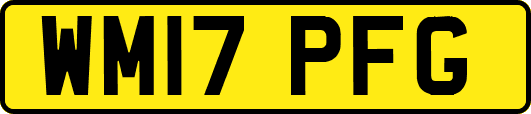WM17PFG