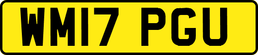 WM17PGU