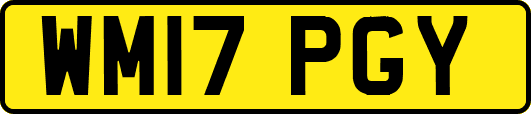 WM17PGY