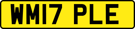 WM17PLE