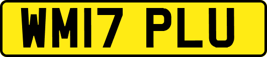 WM17PLU