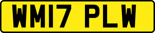 WM17PLW