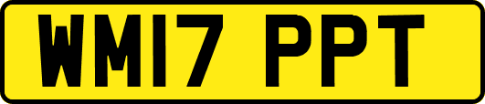 WM17PPT