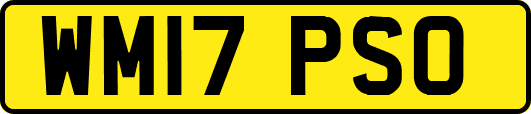 WM17PSO