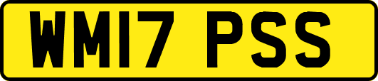 WM17PSS