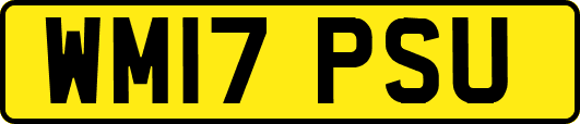 WM17PSU