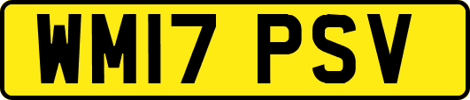 WM17PSV