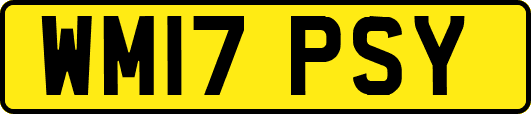 WM17PSY