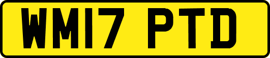 WM17PTD