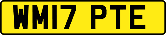 WM17PTE