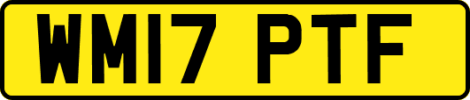WM17PTF