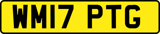 WM17PTG