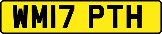 WM17PTH