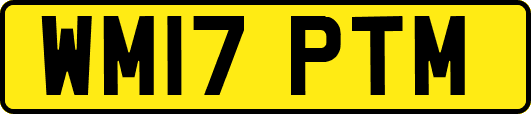 WM17PTM