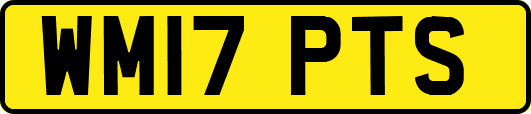 WM17PTS