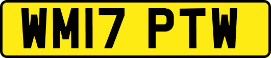 WM17PTW