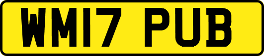 WM17PUB