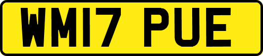 WM17PUE