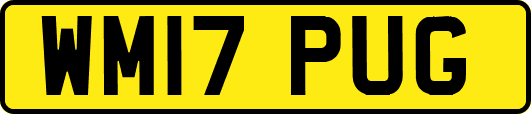 WM17PUG