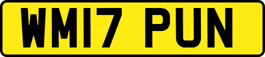 WM17PUN