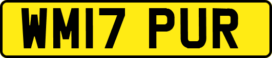 WM17PUR