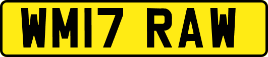 WM17RAW