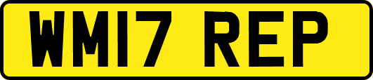 WM17REP