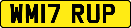 WM17RUP