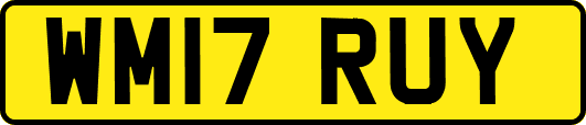 WM17RUY