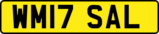 WM17SAL