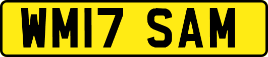 WM17SAM