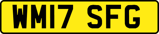 WM17SFG