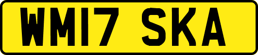 WM17SKA