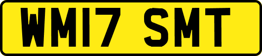 WM17SMT